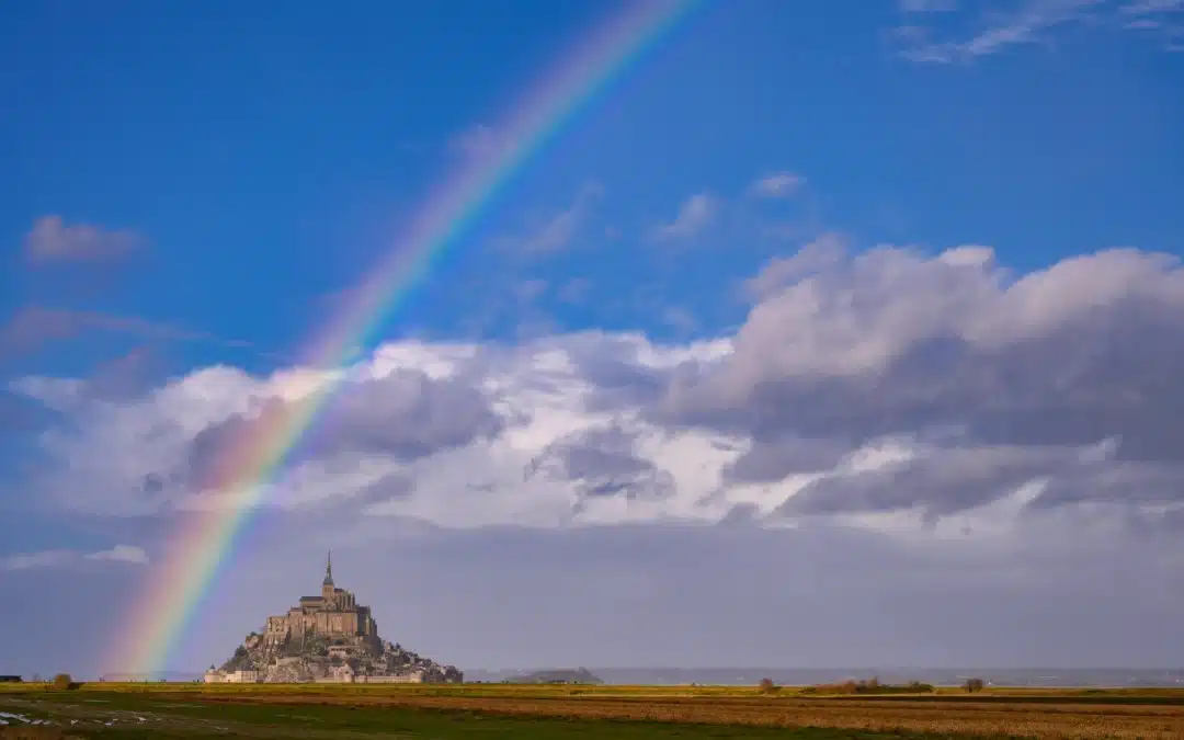 2024 : Une année de résilience et d’émotions 2025 : Le passage de l’ombre à la lumière…